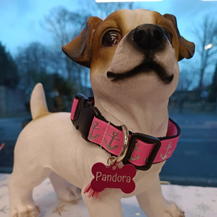 Médaille personnalisée pour chien