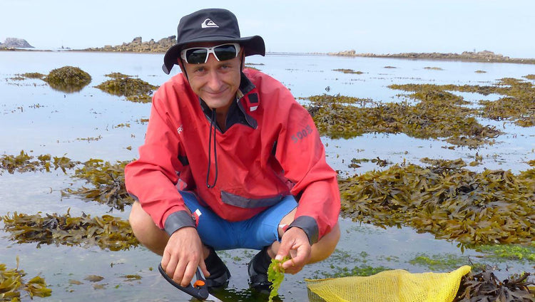 Naturalgue - Pascal Lannuzel, récoltant d'algues