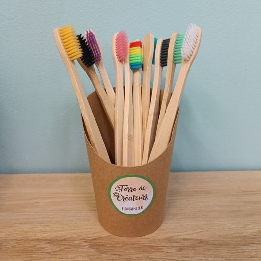 Brosse à dents en bambou (Plusieurs coloris)